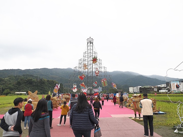 宜蘭 三星 安農溪驛站、落羽松、花海園區與天送埤火車站 — 宜蘭三星半日輕旅行