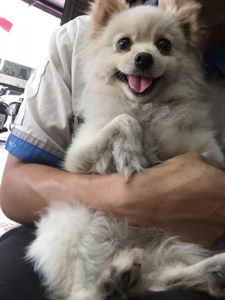 賣萌專家😎