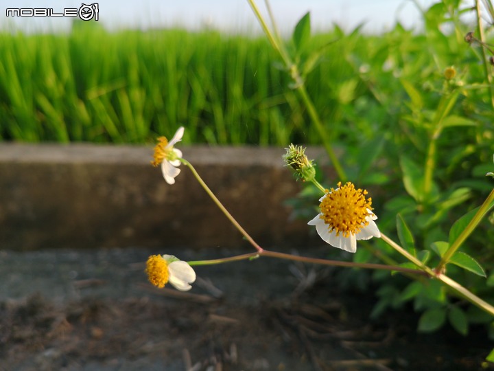 彰化縣大村鄉影像紀錄(純圖)
