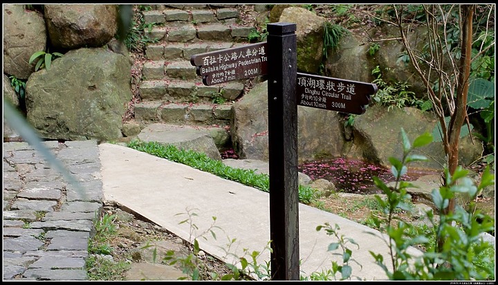 【七星山】主峰、東峰