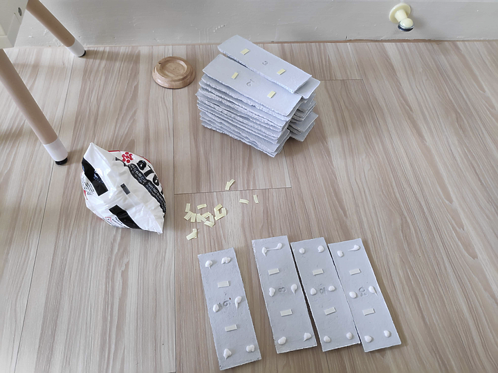 『開箱』展開夢想的小琴房