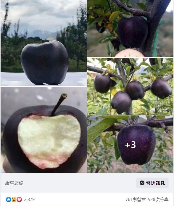 白雪公主的黑蘋果！