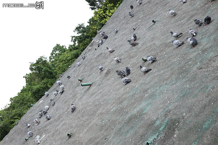 點我看大圖 Canon 24-105mm f/4-7.1 IS STM 最輕巧也最平價的24-105mm!