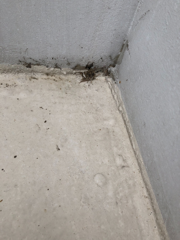 頂樓防水層修繕