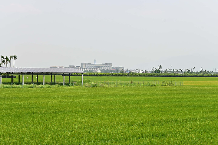 點我看大圖 滄海桑田:查勘彩䴉遷移路徑,才發現東港三西和與南州交壤的水稻田,變成了人工湖。