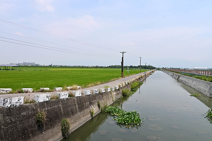 點我看大圖 滄海桑田:查勘彩䴉遷移路徑,才發現東港三西和與南州交壤的水稻田,變成了人工湖。