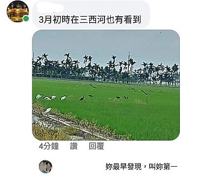 點我看大圖 滄海桑田:查勘彩䴉遷移路徑,才發現東港三西和與南州交壤的水稻田,變成了人工湖。