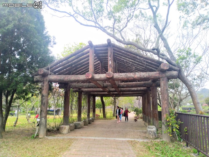 搭大眾交通 健行繞遊 葛瑞絲香草花田 明德水庫 明湖蘇堤