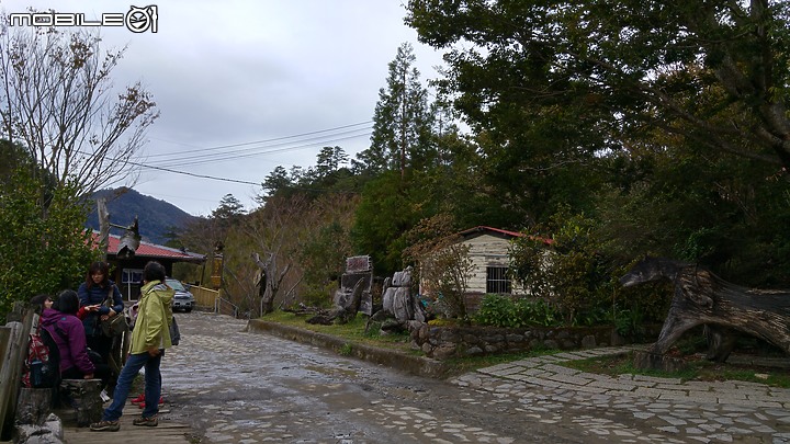 新竹縣司馬庫斯影像紀錄(純圖)