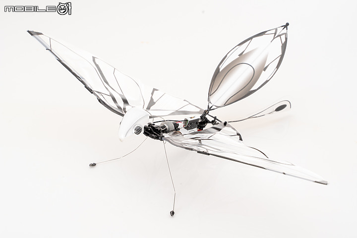 MetaFly 遙控機械蜂鳥 休閒遊玩也考驗專業操控性！