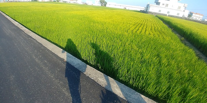 點我看大圖 徒步環島Day23-25台東縣大武鄉9.1K-太麻里鄉32.2K-台東市區23.2K