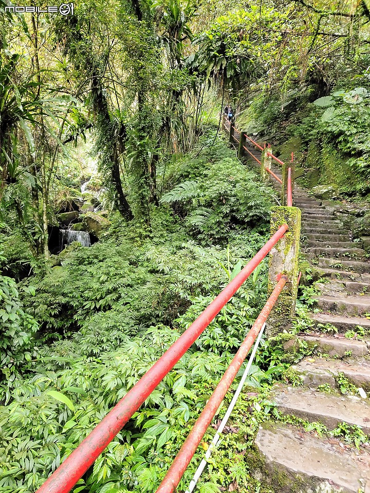 沒路找路~~~直接貫穿木柵貓空和新店銀河路的樟湖步道騎單車記(圖多)