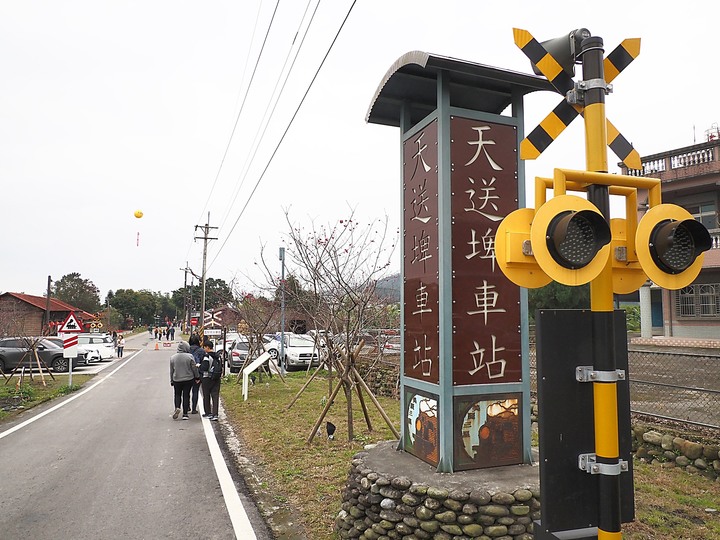 宜蘭 三星 安農溪驛站、落羽松、花海園區與天送埤火車站 — 宜蘭三星半日輕旅行