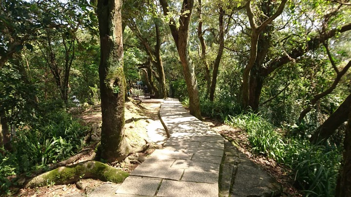 [樂山童盟] [台北文山] 仙跡岩登山步道（景興路243巷登山口-景美山“溪子口山”-麥田山莊登山口）