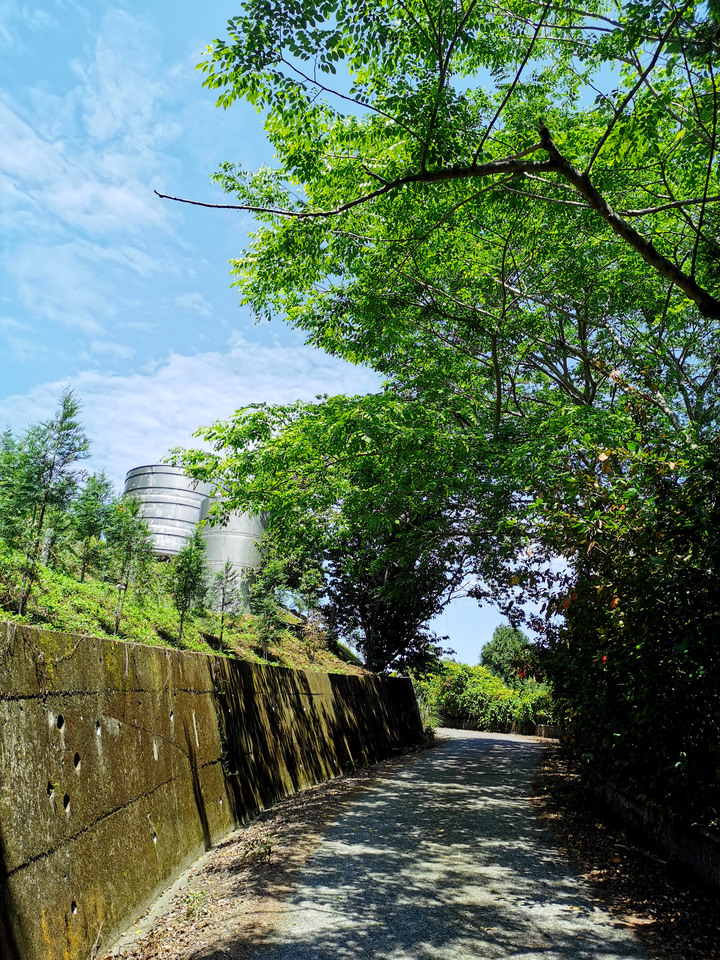 小百岳|台中|暗影山|台灣千尺以下最高峰|新社區