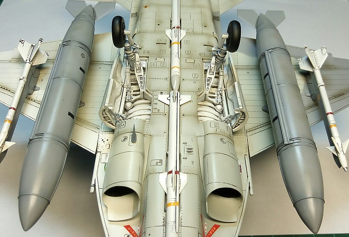 點我看大圖 FREEDOM 1/48 F-CK-1D 經國號戰機