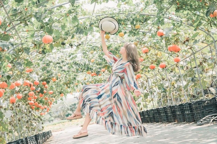 【台中│遊記】中社花市不只有彩色花毯！還有季節限定南瓜節！！！