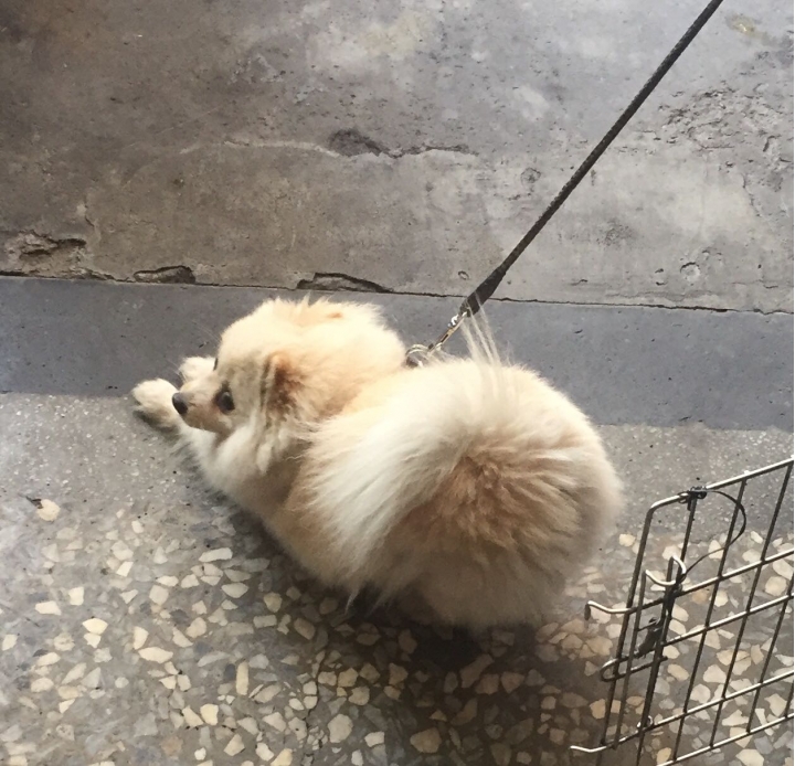 早上起來的例行公事