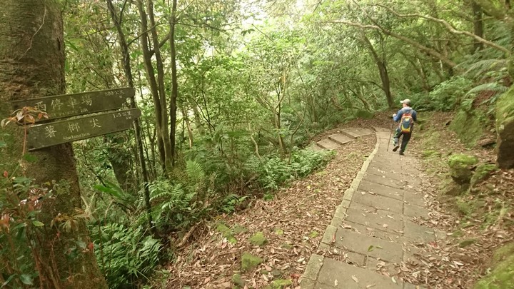 [樂山童盟] [新北平溪] 石筍尖登山步道