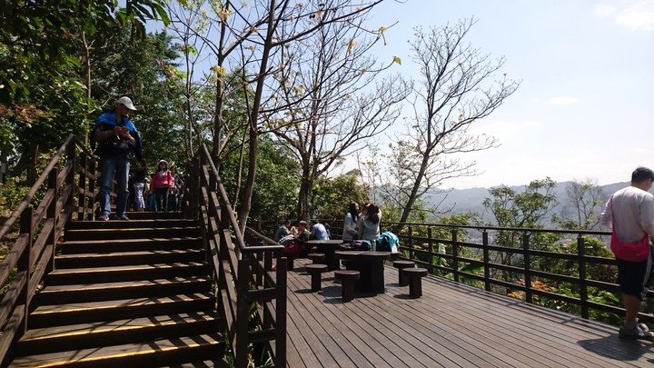 [樂山童盟] [台北文山] 仙跡岩登山步道（景興路243巷登山口-景美山“溪子口山”-麥田山莊登山口）