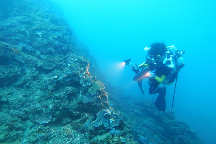 (映像分享) 安心潛進、輕鬆享樂 in 新北市龍洞 【Open Water Diver/開放水域潛水員教學】feat.海洋星球潛水訓練中心 & Canon PowerShot G1 X Mark III