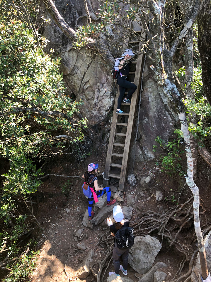 ***鳶嘴稍來山縱走***