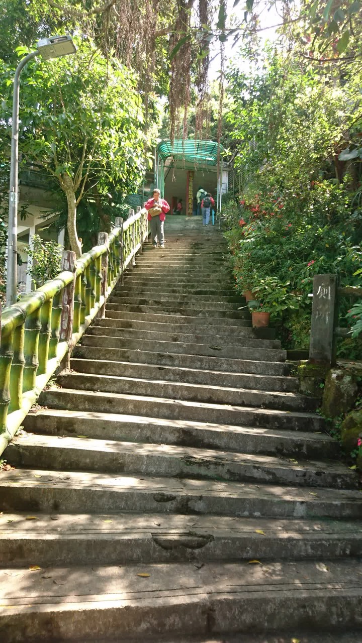 [樂山童盟] [台北文山] 仙跡岩登山步道（景興路243巷登山口-景美山“溪子口山”-麥田山莊登山口）