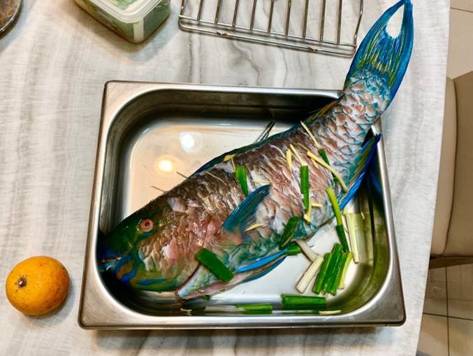 Miele蒸爐蒸大尾魚好好用