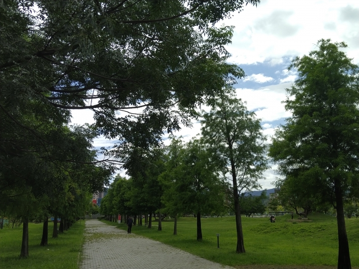 北屯G3舊社站周邊巡禮-G0好市多/南興公園/旱溪黃金阿勃勒大道/G3舊社站