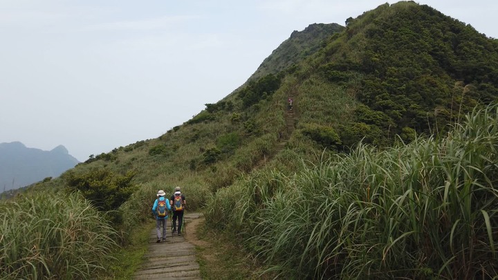[樂山童盟] [新北瑞芳] 半屏山登山步道