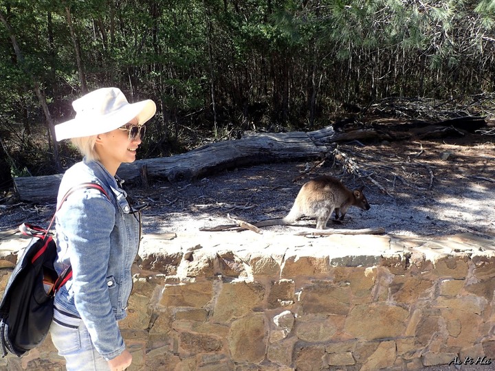 【塔斯絕美景點】Devils' Corner 酒莊。Freycinet National Park國家公園 Wineglass Bay。Cape Tourville Lighthouse, Sleepy Bay