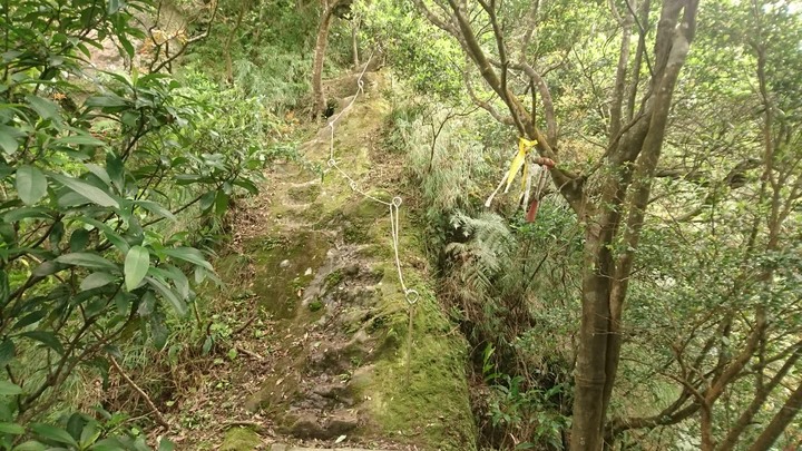 [樂山童盟] [新北平溪] 石筍尖登山步道