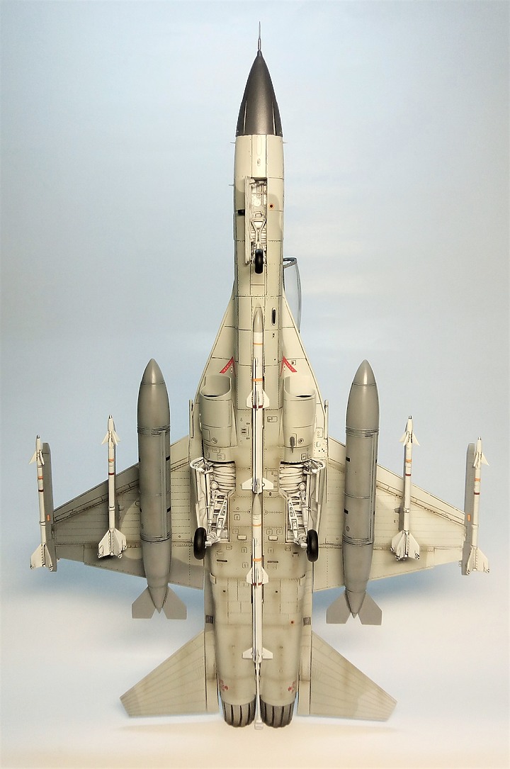 點我看大圖 FREEDOM 1/48 F-CK-1D 經國號戰機