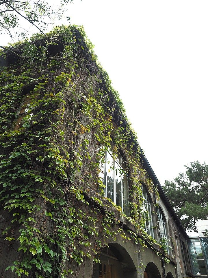 花蓮市 將軍府、松園別館、台開心農場、星巴克洄瀾門市、晨研早午餐 —梅雨季中的花蓮旅行,第一部