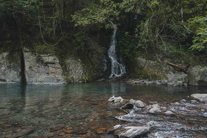 點我看大圖 【新北市・烏來】福山部落一日遊 溪瀧步道 // 蝴蝶公園 // 大羅蘭溪
