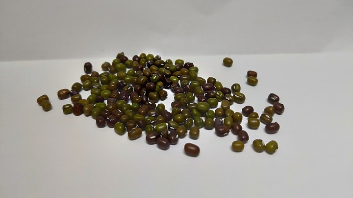 這包綠豆是有混到紅豆嗎??