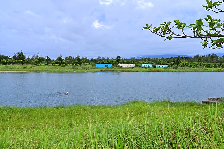 台東有14處銀河秘境，可以加上第15，台東森林公園活水湖高台。