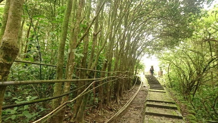 [樂山童盟] [新北平溪] 石筍尖登山步道