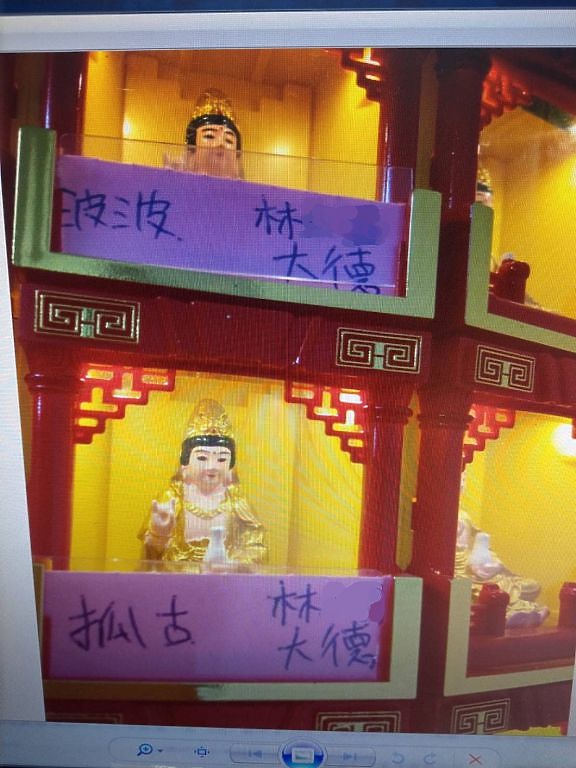 感動人心 鄭美妹家人捐助照生會美妹號貓狗結紮車