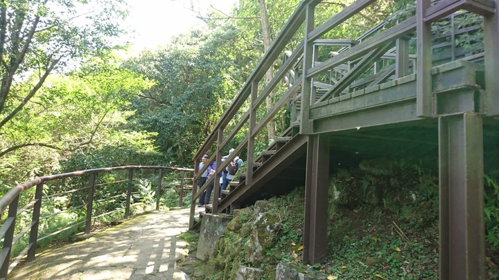 [樂山童盟] [台北文山] 仙跡岩登山步道（景興路243巷登山口-景美山“溪子口山”-麥田山莊登山口）