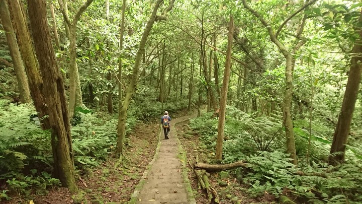 [樂山童盟] [新北平溪] 石筍尖登山步道