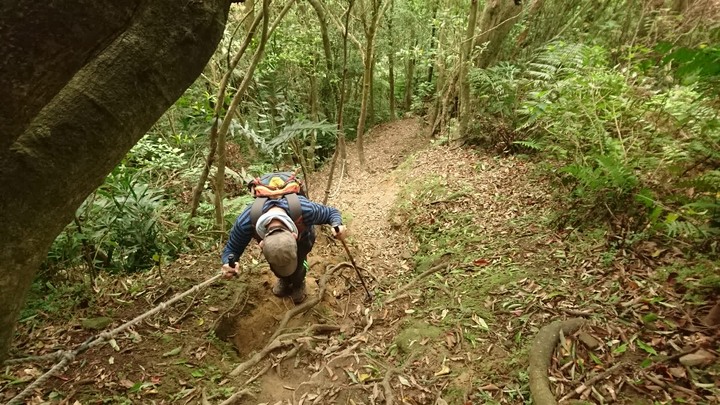 [樂山童盟] [新北平溪] 石筍尖登山步道