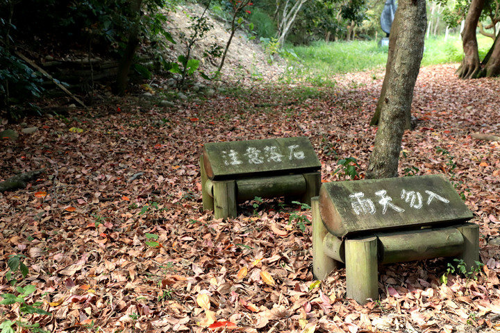 S步道|彰化|登廟步道|中台灣最窄步道|二水鄉