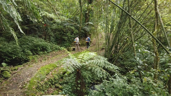 [樂山童盟] [新北平溪] 石筍尖登山步道