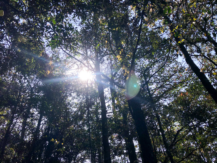 ***鳶嘴稍來山縱走***