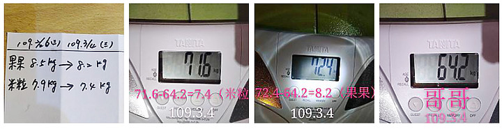 皇家級貓咪減重計畫成效報告(結果我也很想跟著一起減)