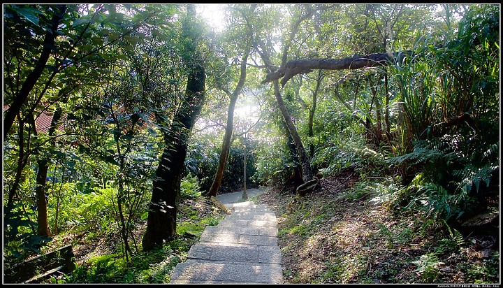 點我看大圖 〖大尖山步道〗、【四分尾山】、【大尖山】