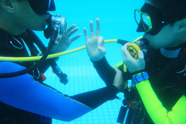 (映像分享) 安心潛進、輕鬆享樂 in 新北市龍洞 【Open Water Diver/開放水域潛水員教學】feat.海洋星球潛水訓練中心 & Canon PowerShot G1 X Mark III