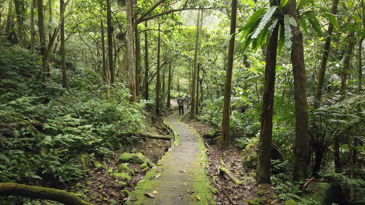 [樂山童盟] [新北平溪] 石筍尖登山步道