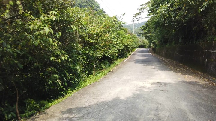 [樂山童盟] [新北瑞芳] 半屏山登山步道